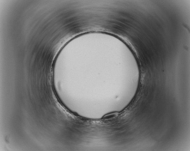 X0000102790903200809151122