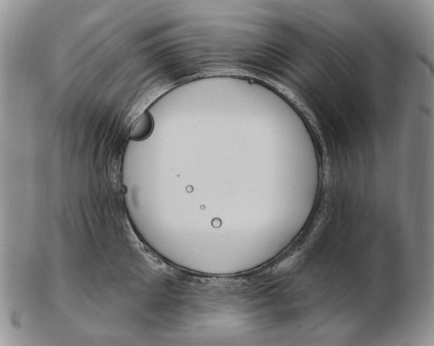 X0000102790905200809151122