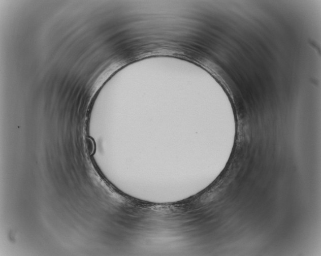 X0000102790906200809151122