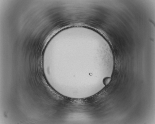 X0000102790911200809151122