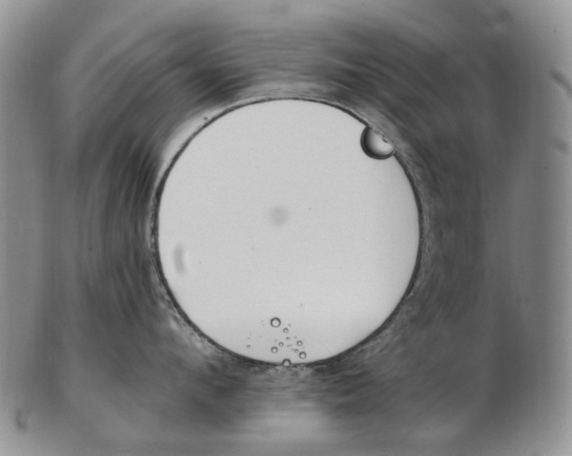 X0000102790912200809151122