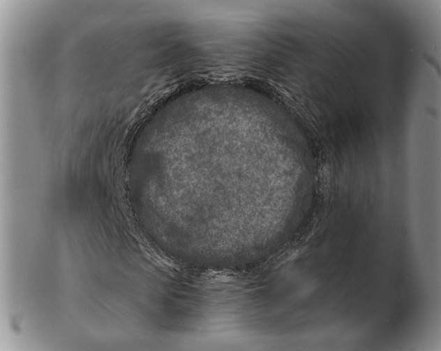 X0000102790913200809151122