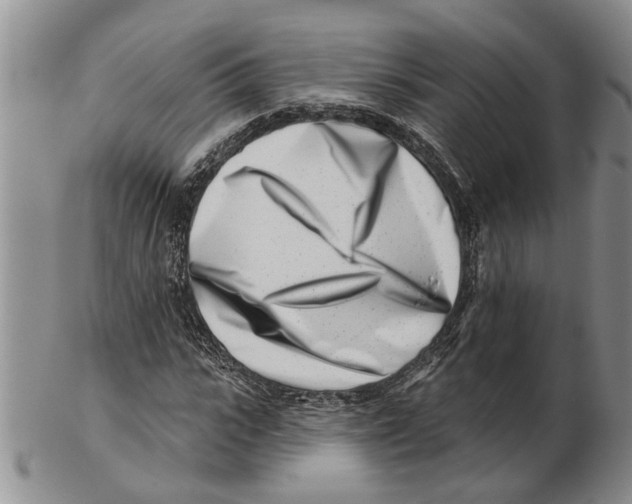 X0000102790919200809151122