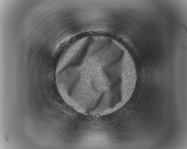 X0000102790920200809151122