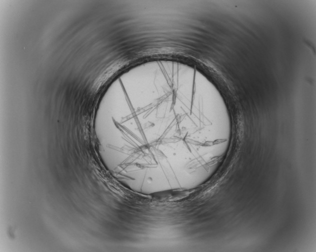 X0000102790921200809151122