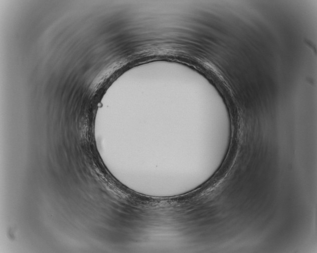 X0000102790922200809151122