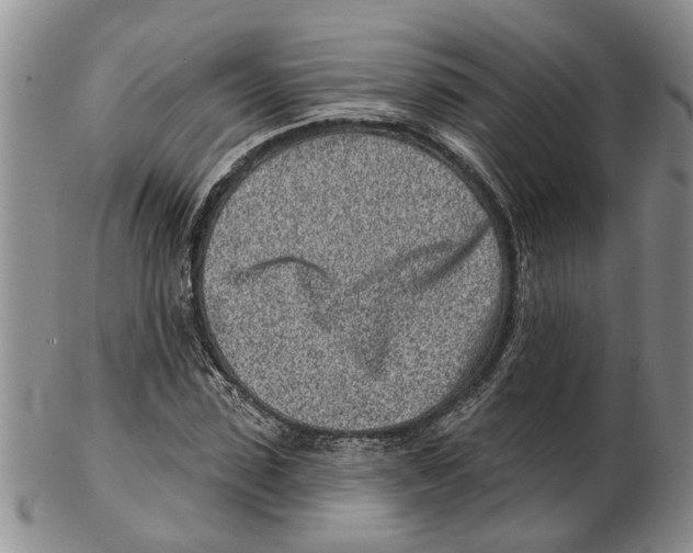 X0000102790923200809151122