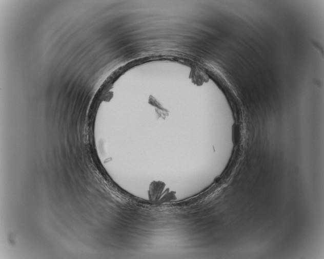 X0000102790924200809151122