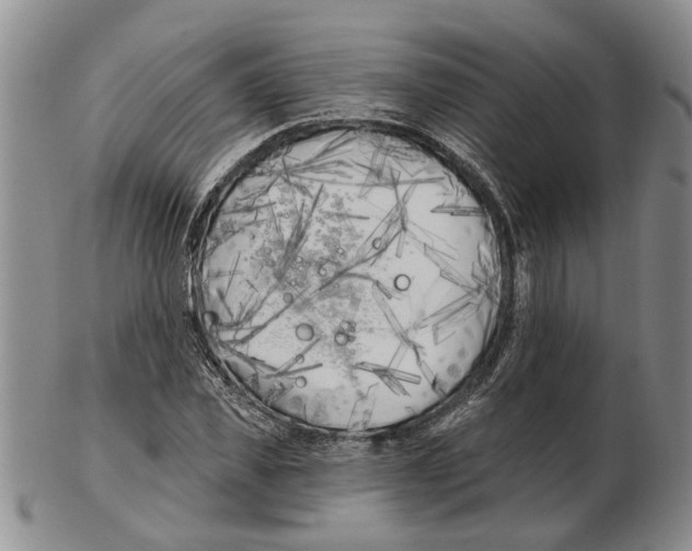 X0000102790925200809151122