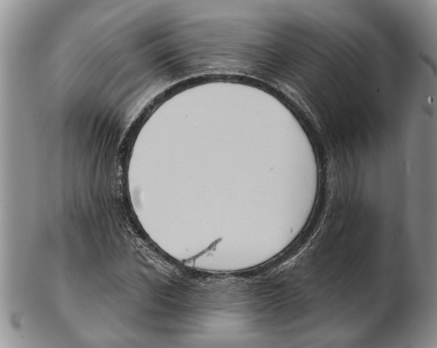 X0000102790926200809151122