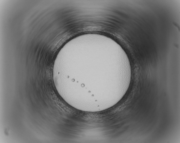 X0000102790929200809151122