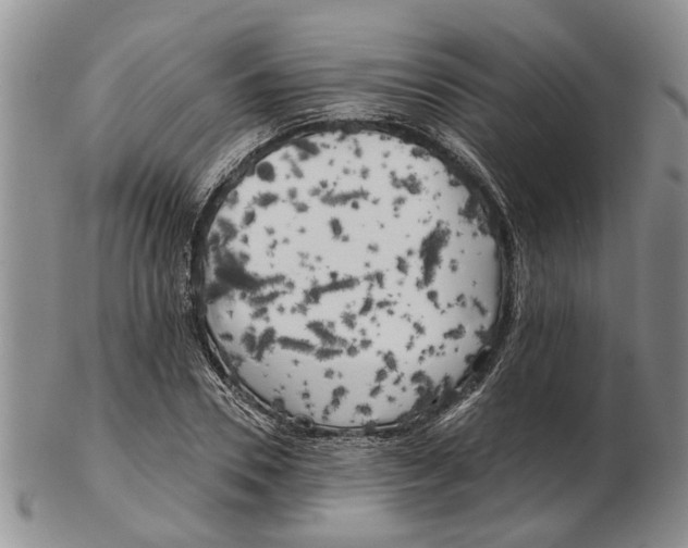 X0000102790930200809151122