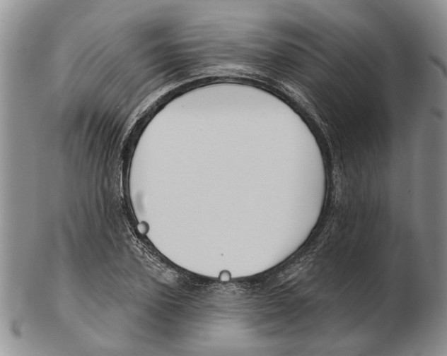 X0000102790931200809151122