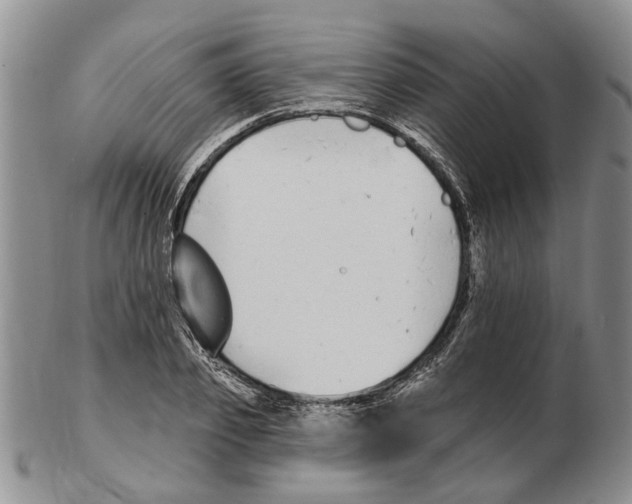 X0000102790933200809151122