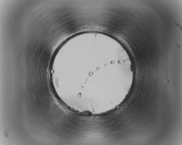 X0000102790936200809151122