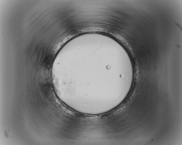 X0000102790937200809151122