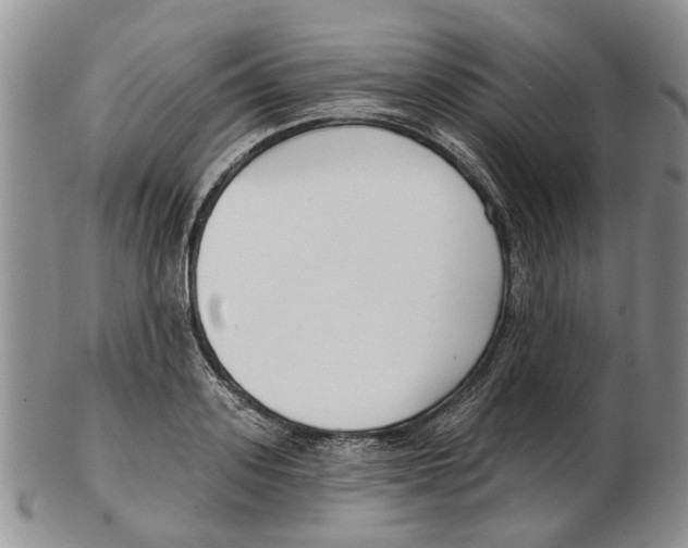 X0000102790939200809151122