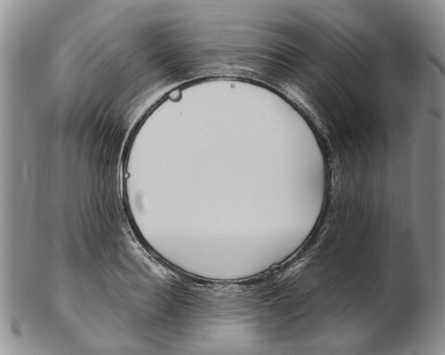 X0000102790940200809151122