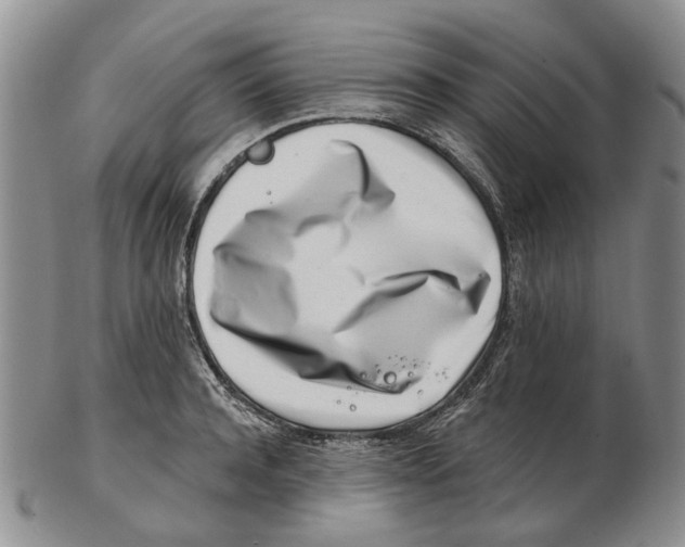 X0000102790944200809151122