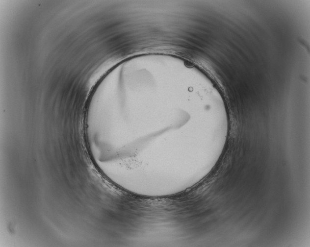 X0000102790952200809151122