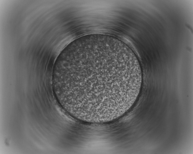 X0000102790954200809151122