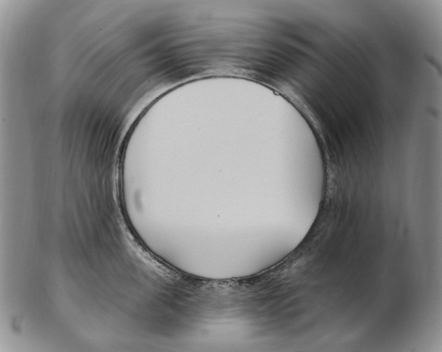 X0000102790955200809151122