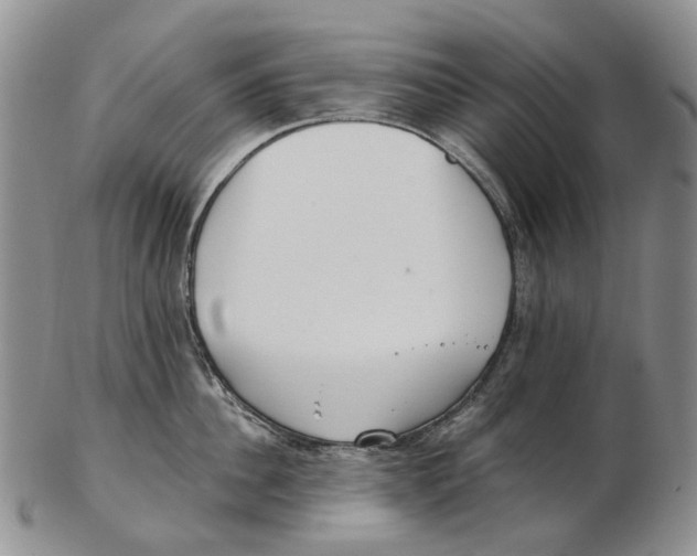 X0000102790956200809151122