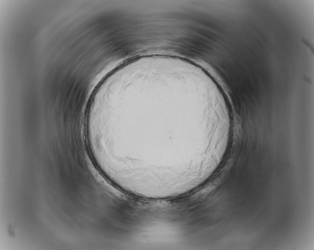 X0000102790957200809151122