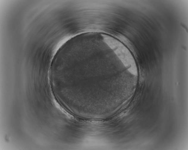 X0000102790958200809151122