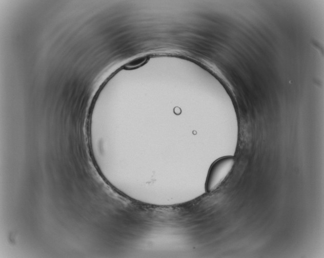 X0000102790959200809151122