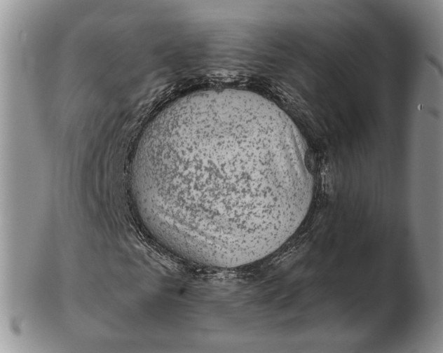 X0000102790961200809151122