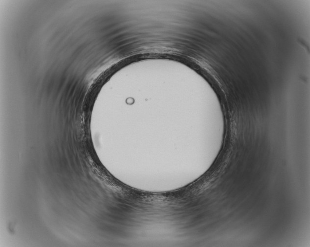 X0000102790971200809151121