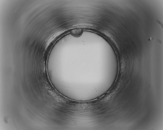 X0000102790973200809151121