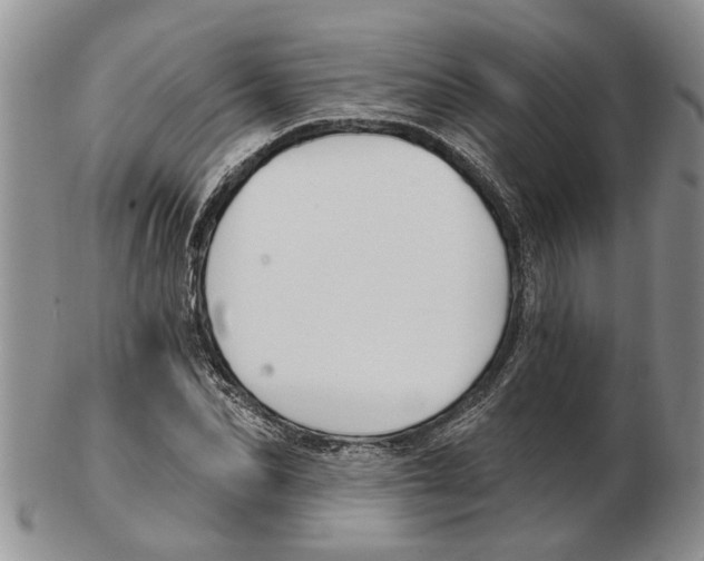 X0000102790974200809151121