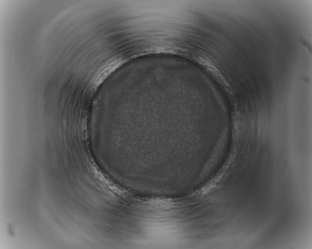 X0000102790977200809151121