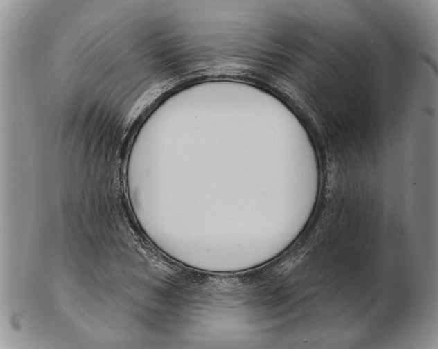 X0000102790978200809151121