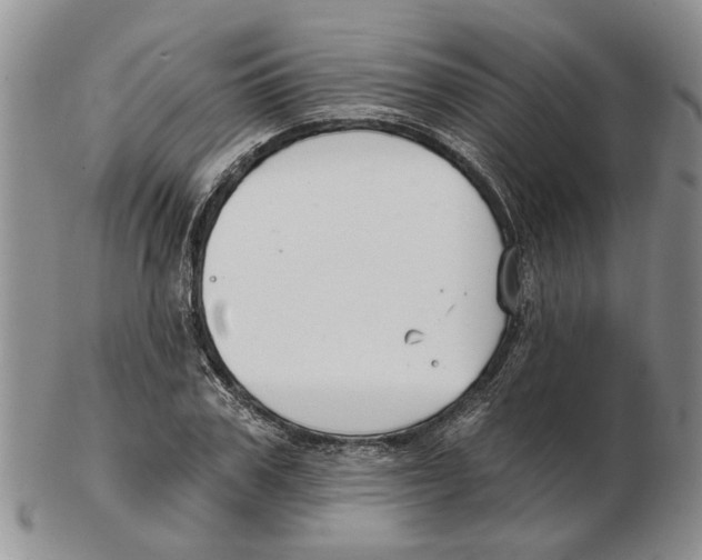 X0000102790979200809151121