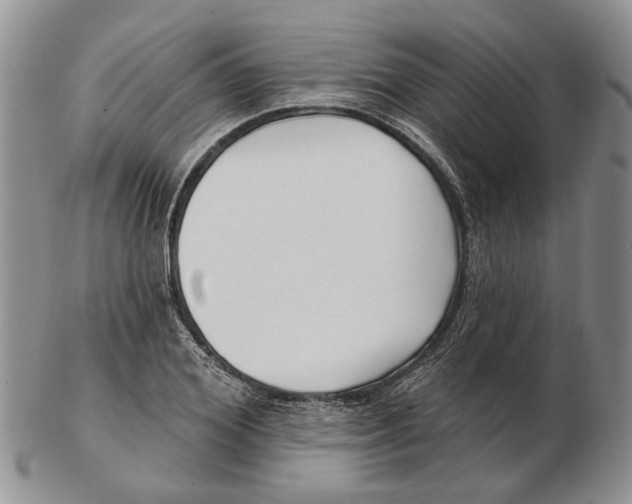 X0000102790980200809151121