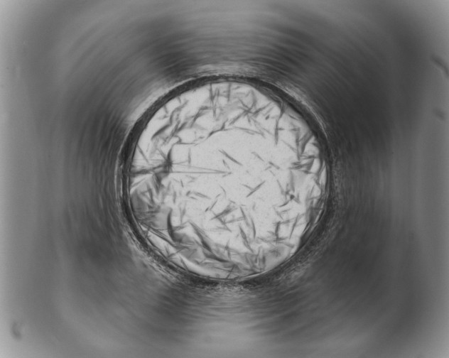 X0000102790983200809151121