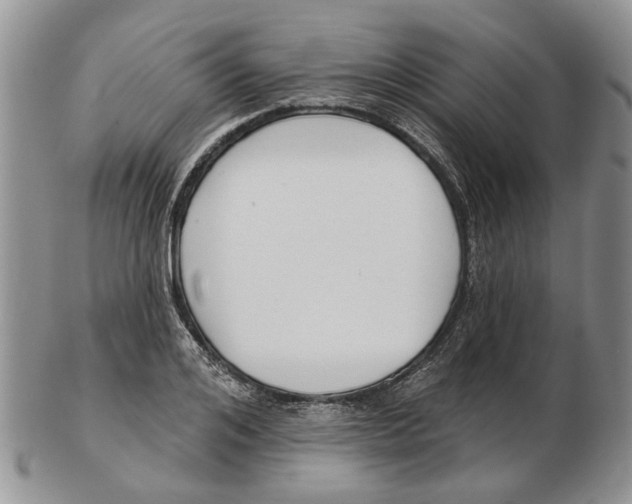 X0000102790984200809151121