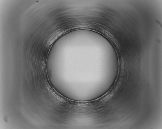 X0000102790985200809151121