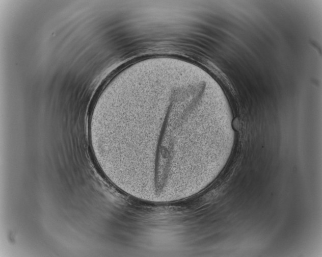 X0000102790988200809151121