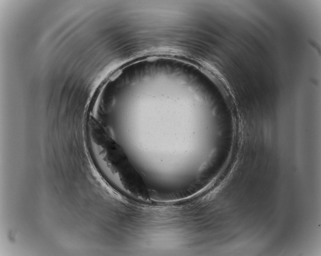 X0000102790989200809151121