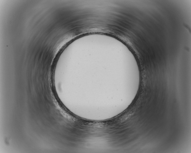 X0000102790991200809151121