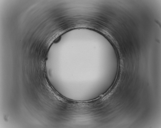 X0000102790993200809151121