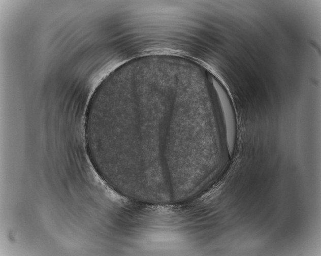 X0000102790995200809151121