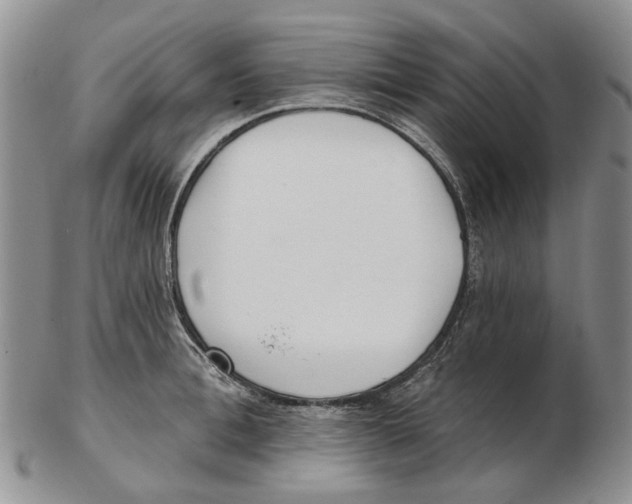 X0000102790996200809151121