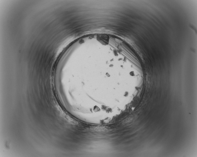 X0000102790998200809151121