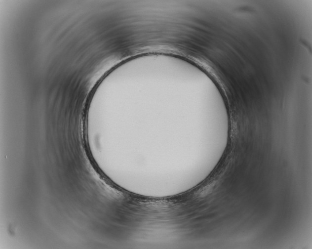 X0000102790999200809151121