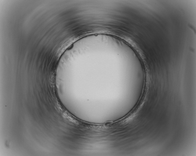 X0000102791001200809151121